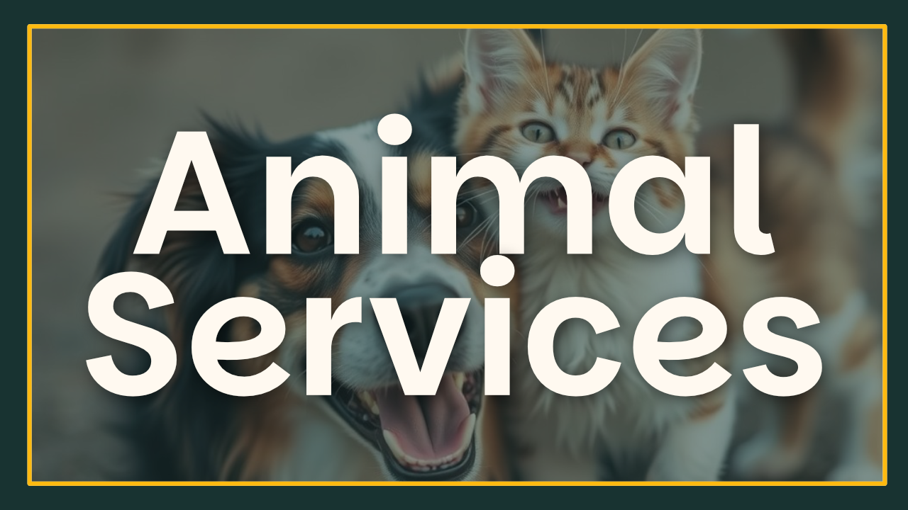 04 - animal services