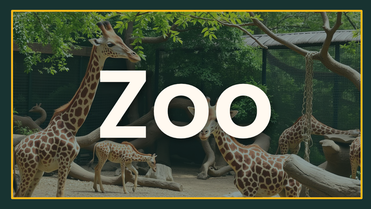 08 - zoo